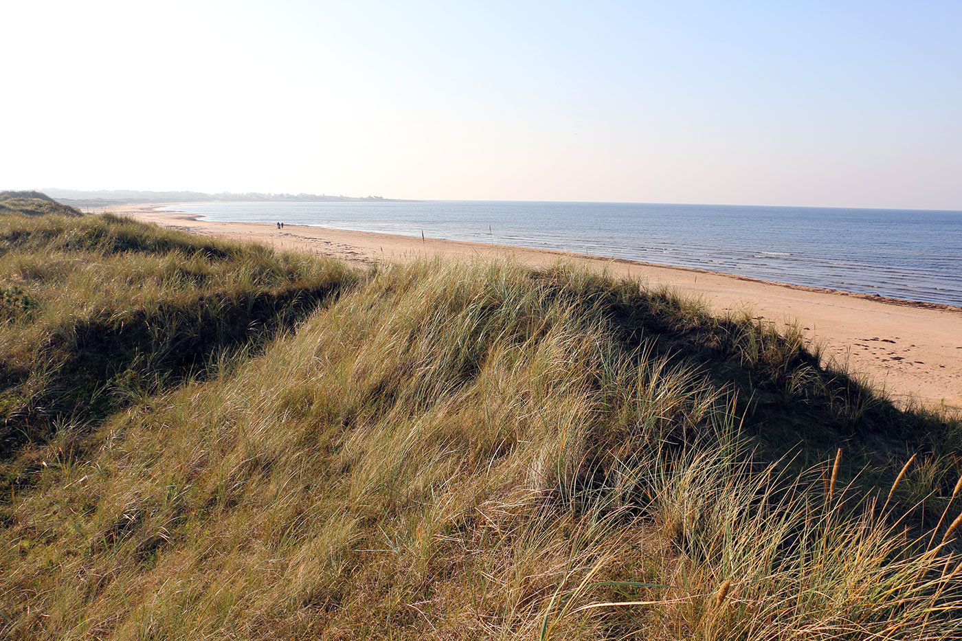 Haverdalsstrand sedd från dynerna