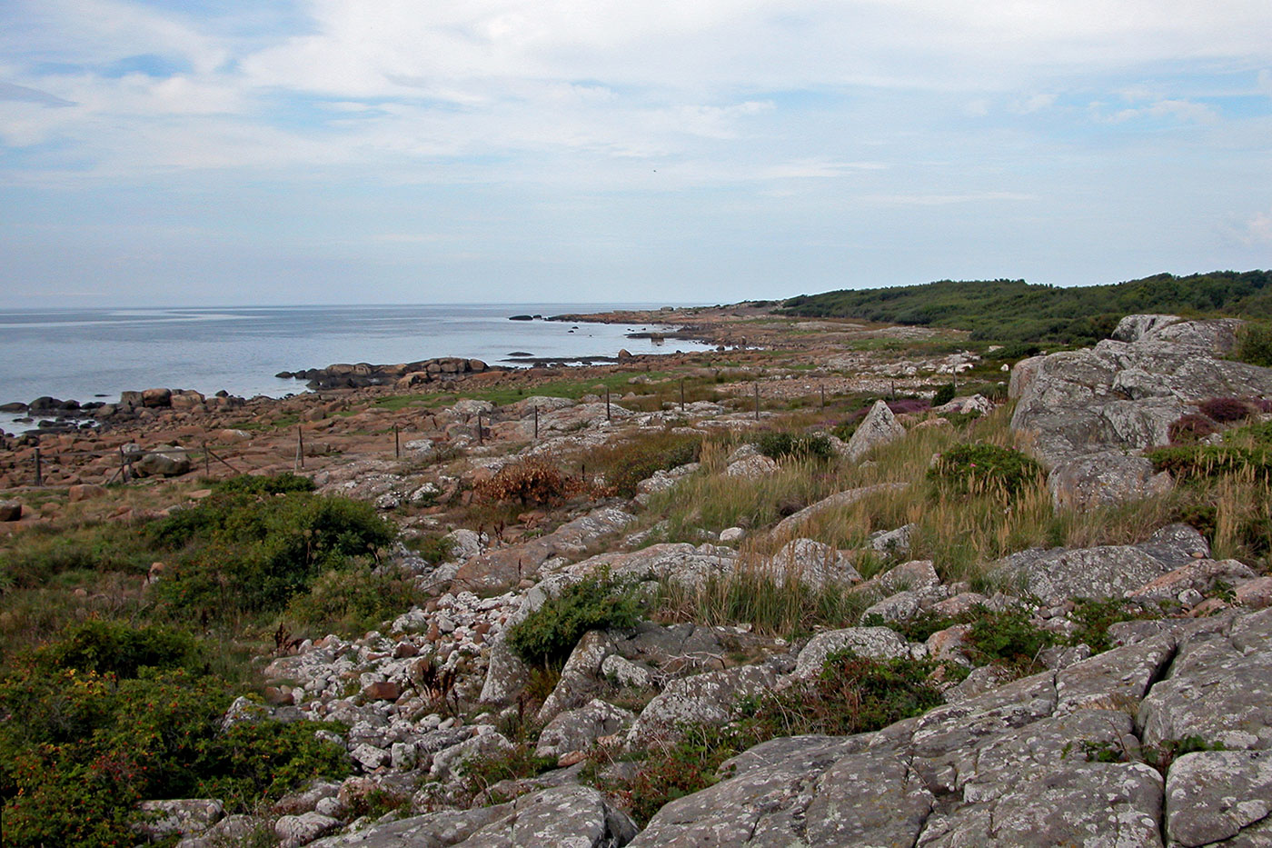 Vy över klippor och stenstrand vid naturreservatet i Steninge