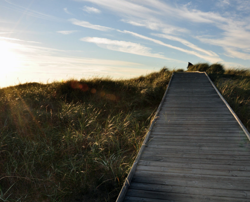 Spång i sanddynor med kvällshimmel som bakgrund Tylösand