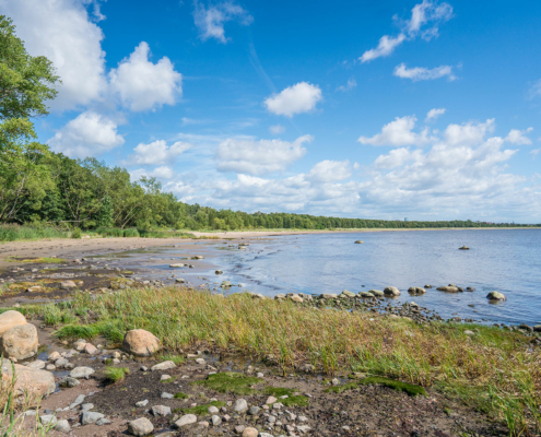 Stranden nedanför Knebildstorp