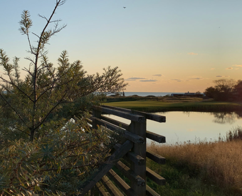 Damm i kvällssol med vy över havet i Ringenäs
