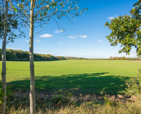 Onsjö i Gullbrandstorp