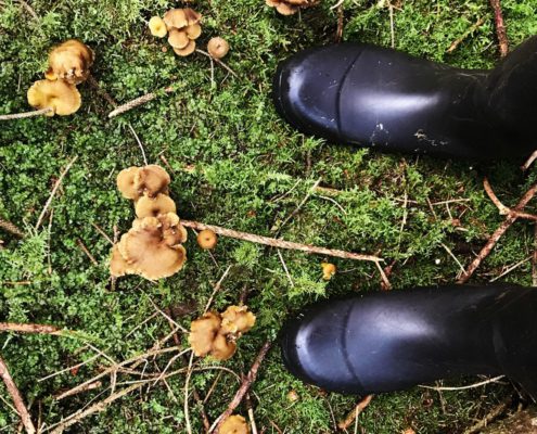 gummistövlar och höstkantareller i Mahult