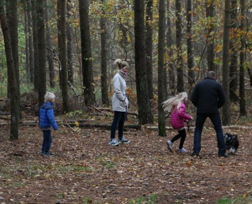 Lek i lövskog Trottaberg