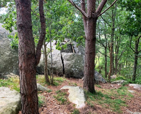 Naturområde Trollberget