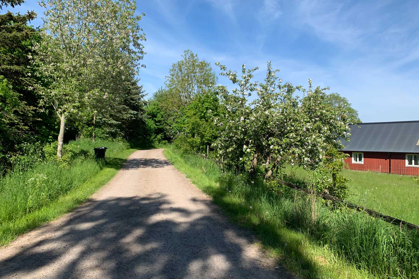 Grusväg Onsjö