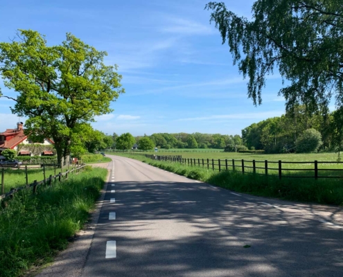 Fammarp Onsjö - väg och hästhage