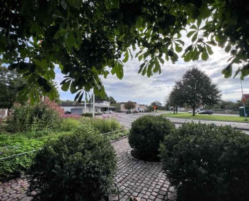 Infart Mickedala park