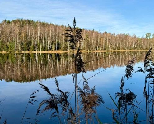 Torvsjön vid Marbäck